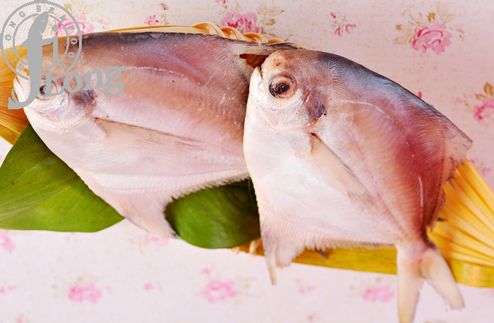 BUTTER FISH.jpg
