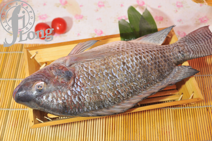 G&S Tilapia.jpg