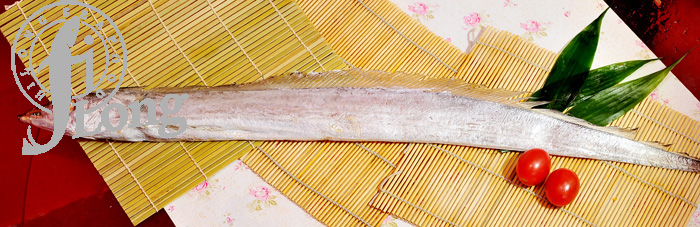Ribbon Fish.jpg